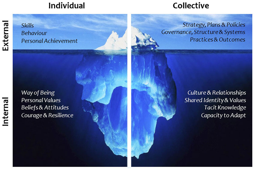 Individual and Collective Learning